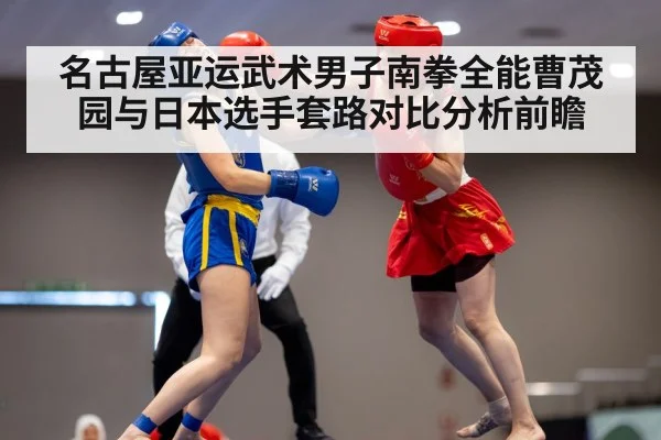 wushu martial arts