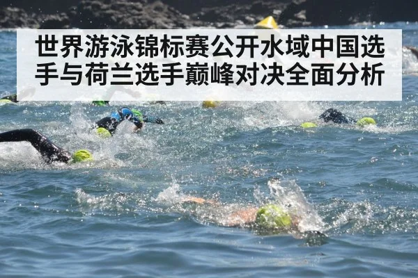 世界游泳锦标赛公开水域中国选手与荷兰选手巅峰对决全面分析